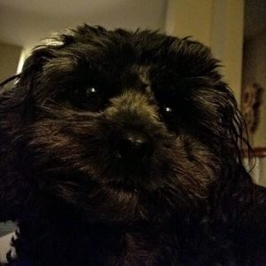 Meet your Posher, Kerry